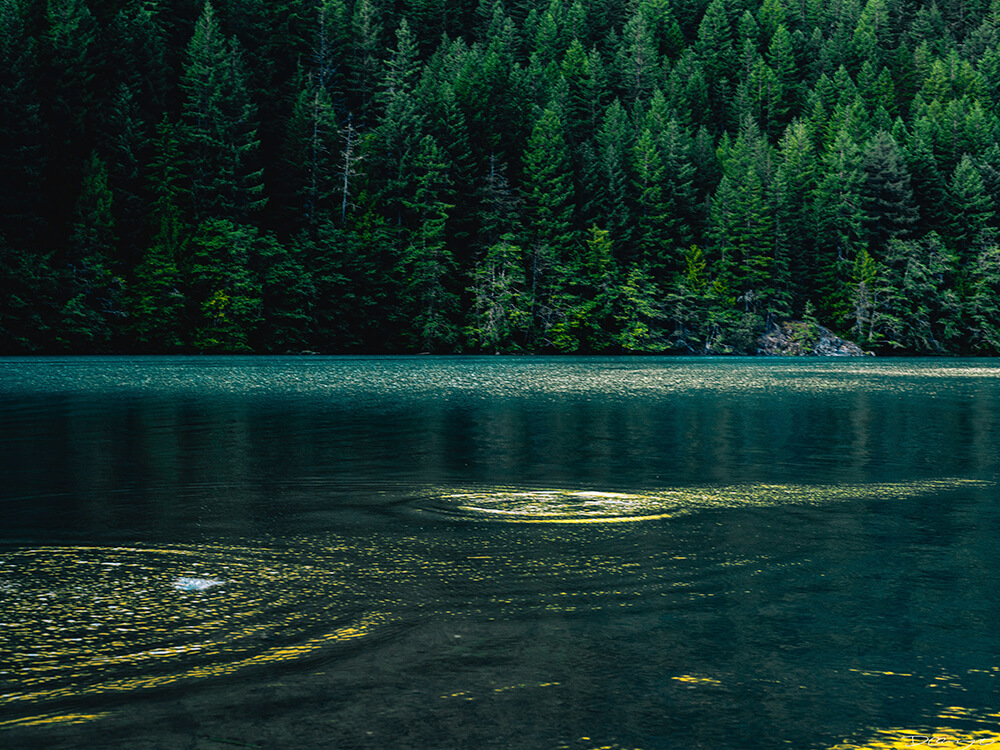 Landscape and portrait photos from a July 2020 trip to the North Cascades. Sourdough Mountain, Diablo Lake, Ross Lake and more.
